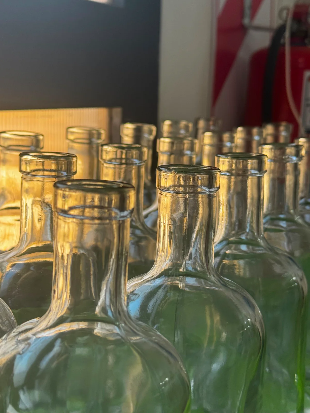 Cuellos de botellas de vidrio vacías iluminados por luz cálida en la destilería